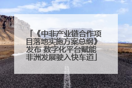 《中非产业链合作项目落地实施方案总纲》发布 数字化平台赋能非洲发展驶入快车道