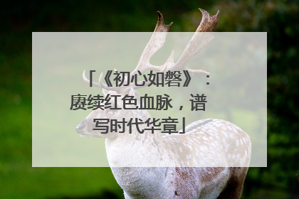 《初心如磐》：赓续红色血脉，谱写时代华章