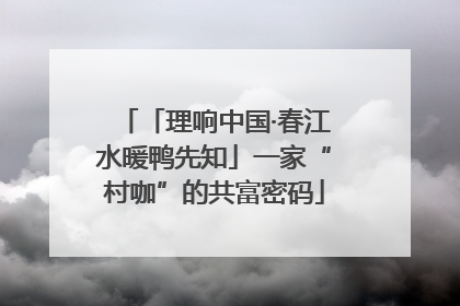 「理响中国·春江水暖鸭先知」一家“村咖”的共富密码