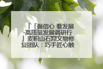 「强信心 看发展·高质量发展调研行」麦积山石窟文物修复团队：巧手匠心触摸“光阴的故事”