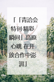 「青洽会特刊·精彩瞬间」高原心跳 在开放合作中澎湃