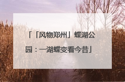 「风物郑州」蝶湖公园：一湖蝶变看今昔