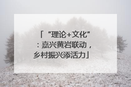 “理论+文化”：嘉兴黄岩联动，乡村振兴添活力