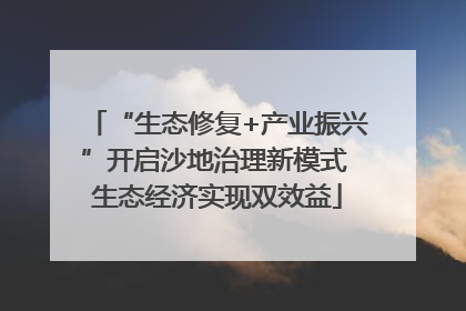 “生态修复+产业振兴”开启沙地治理新模式 生态经济实现双效益