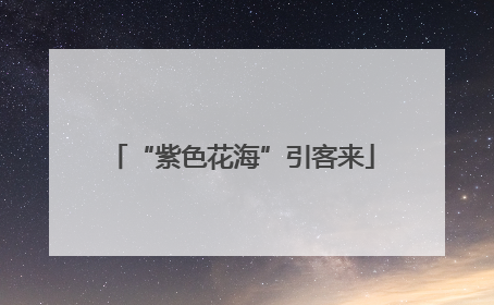 “紫色花海”引客来