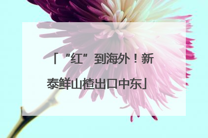 “红”到海外！新泰鲜山楂出口中东