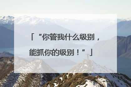 “你管我什么级别，能抓你的级别！”