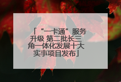 “一卡通”服务升级 第二批长三角一体化发展十大实事项目发布