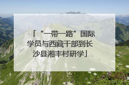 “一带一路”国际学员与西藏干部到长沙县湘丰村研学