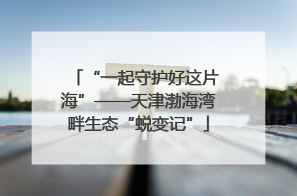 “一起守护好这片海”——天津渤海湾畔生态“蜕变记”