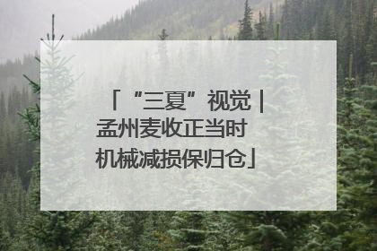 “三夏”视觉｜孟州麦收正当时 机械减损保归仓