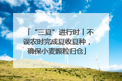 “三夏”进行时丨不误农时完成夏收夏种，确保小麦颗粒归仓