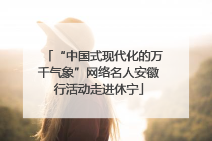 “中国式现代化的万千气象”网络名人安徽行活动走进休宁