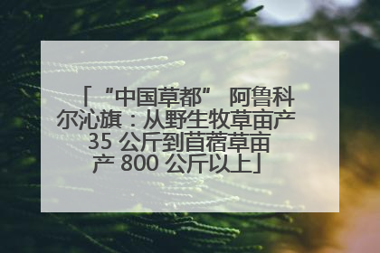 “中国草都” 阿鲁科尔沁旗：从野生牧草亩产 35 公斤到苜蓿草亩产 800 公斤以上