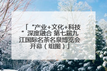 “产业+文化+科技”深度融合 第七届九江国际名茶名泉博览会开幕（组图）