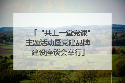 “共上一堂党课”主题活动暨党建品牌建设座谈会举行