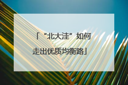 “北大洼”如何走出优质均衡路