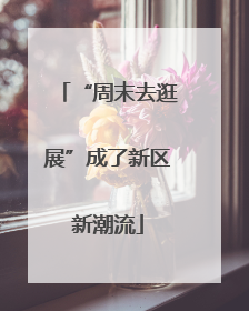 “周末去逛展”成了新区新潮流