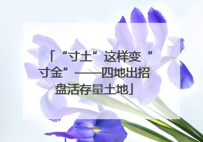 “寸土”这样变“寸金”——四地出招盘活存量土地
