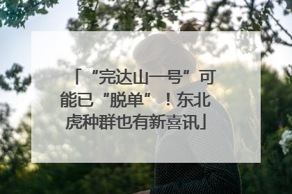 “完达山一号”可能已“脱单”！东北虎种群也有新喜讯