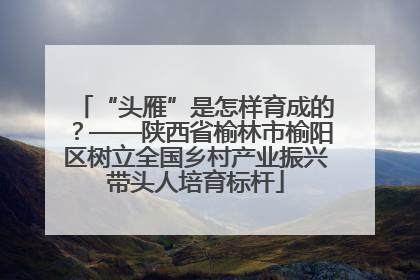 “头雁”是怎样育成的？——陕西省榆林市榆阳区树立全国乡村产业振兴带头人培育标杆
