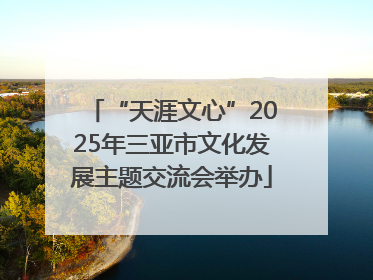“天涯文心”2025年三亚市文化发展主题交流会举办