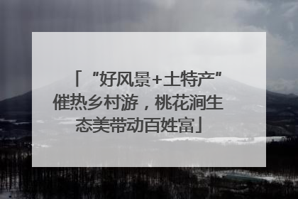 “好风景+土特产”催热乡村游，桃花涧生态美带动百姓富