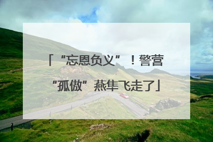 “忘恩负义”！警营“孤傲”燕隼飞走了