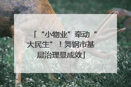 “小物业”牵动“大民生”！舞钢市基层治理显成效
