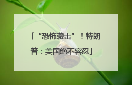 “恐怖袭击”！特朗普：美国绝不容忍