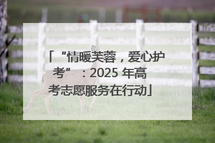 “情暖芙蓉，爱心护考”：2025 年高考志愿服务在行动