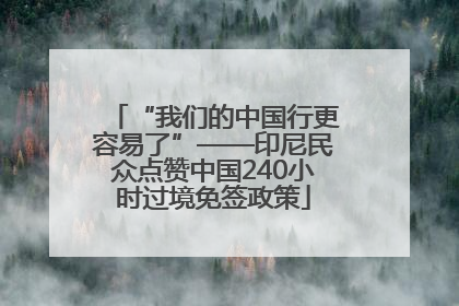 “我们的中国行更容易了”——印尼民众点赞中国240小时过境免签政策