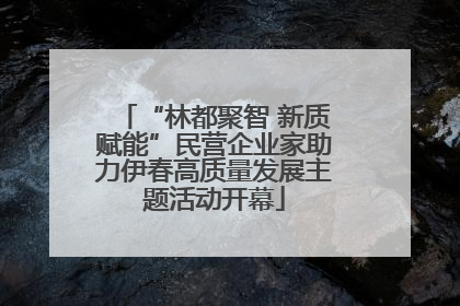 “林都聚智 新质赋能”民营企业家助力伊春高质量发展主题活动开幕