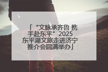 “文脉承齐鲁 携手赴东平”2025东平湖文旅走进济宁推介会圆满举办