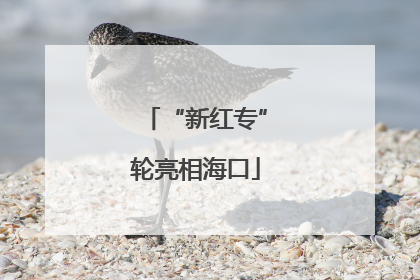 “新红专”轮亮相海口