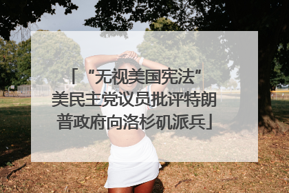 “无视美国宪法” 美民主党议员批评特朗普政府向洛杉矶派兵