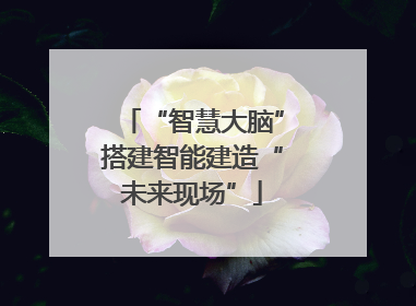 “智慧大脑”搭建智能建造“未来现场”