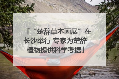 “楚辞草木画展”在长沙举行 专家为楚辞植物提供科学考据