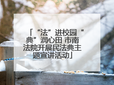 “法”进校园“典”润心田 市南法院开展民法典主题宣讲活动