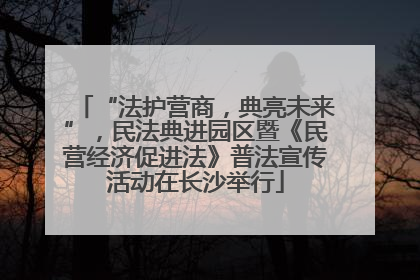“法护营商，典亮未来”，民法典进园区暨《民营经济促进法》普法宣传活动在长沙举行
