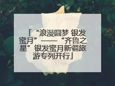 “浪漫圆梦 银发蜜月”——“齐鲁之星”银发蜜月新疆旅游专列开行