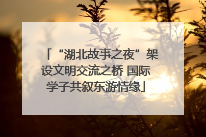 “湖北故事之夜”架设文明交流之桥 国际学子共叙东游情缘