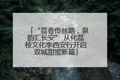 “荔香传丝路，泉韵汇长安” 从化荔枝文化季西安行开启双城甜蜜新篇