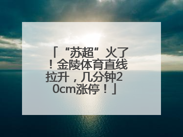 “苏超”火了！金陵体育直线拉升，几分钟20cm涨停！