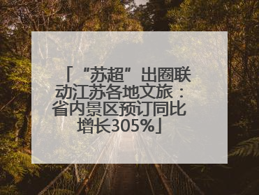 “苏超”出圈联动江苏各地文旅：省内景区预订同比增长305%
