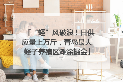 “蛏”风破浪！日供应量上万斤，青岛最大蛏子养殖区滩涂掘金