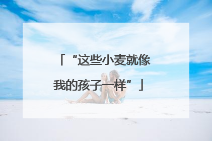 “这些小麦就像我的孩子一样”