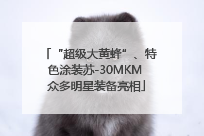 “超级大黄蜂”、特色涂装苏-30MKM 众多明星装备亮相