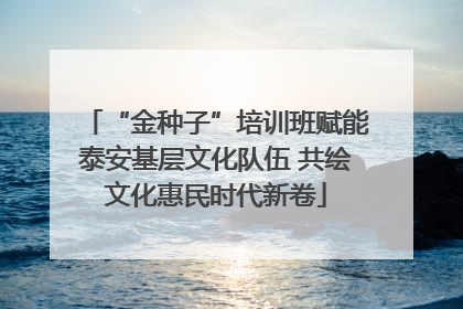 “金种子”培训班赋能泰安基层文化队伍 共绘文化惠民时代新卷