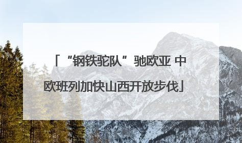“钢铁驼队”驰欧亚 中欧班列加快山西开放步伐